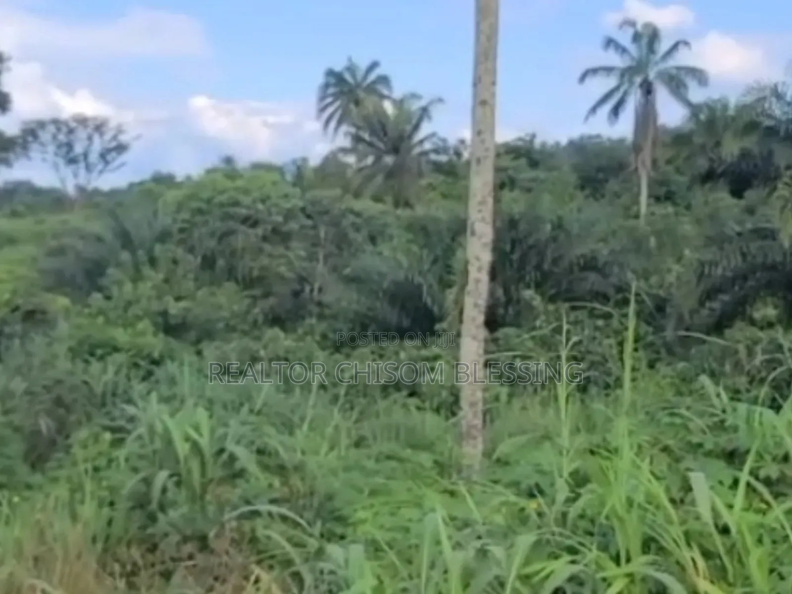 41 Plots for Sale at Agbo Ibeku, Umuahia, Abia State in Umuahia