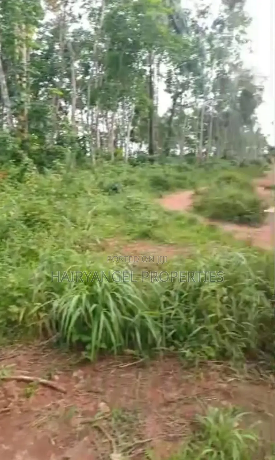Cheap Land for Sale in Owerri in Owerri