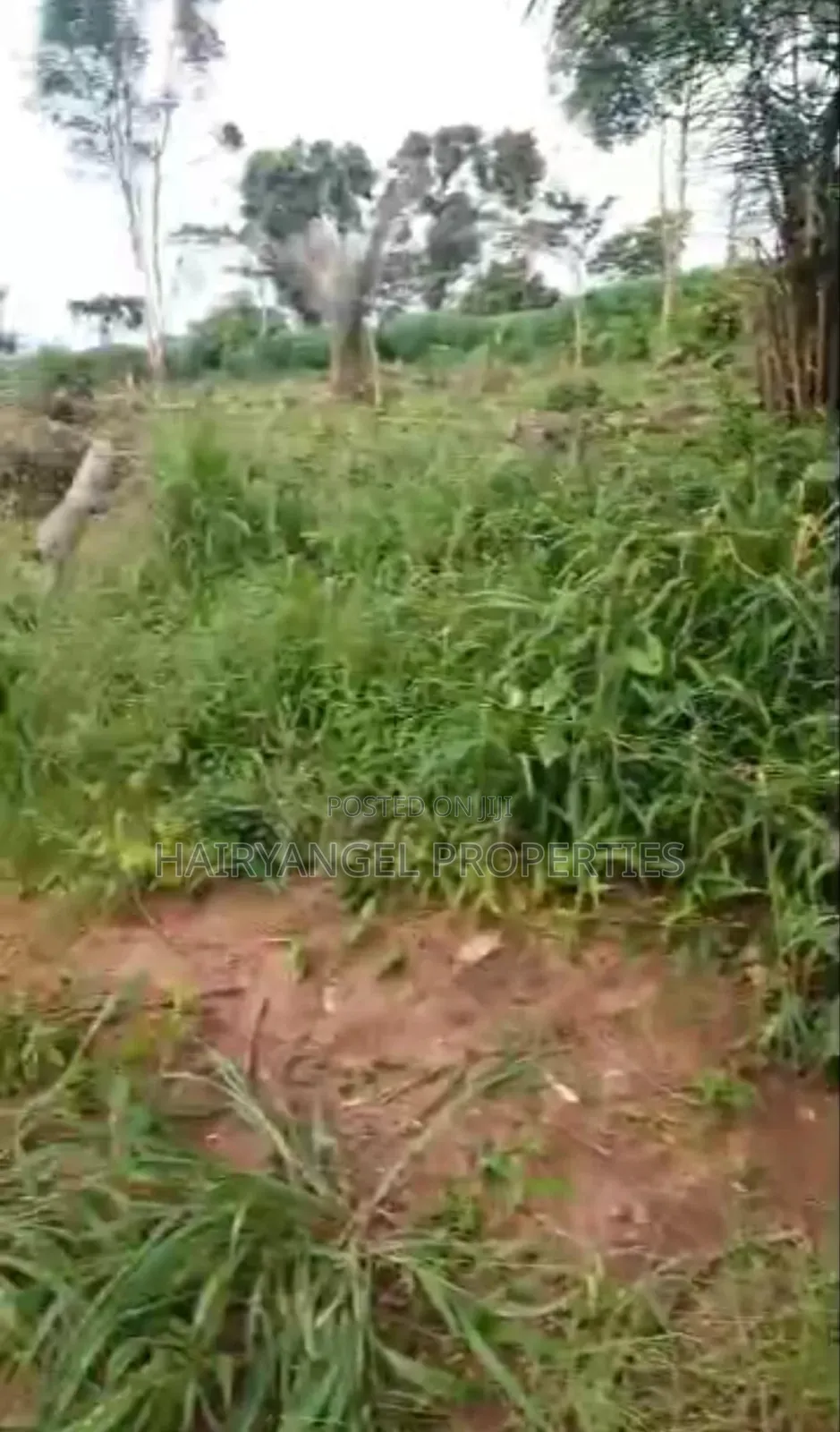 Cheap Land for Sale in Owerri in Owerri