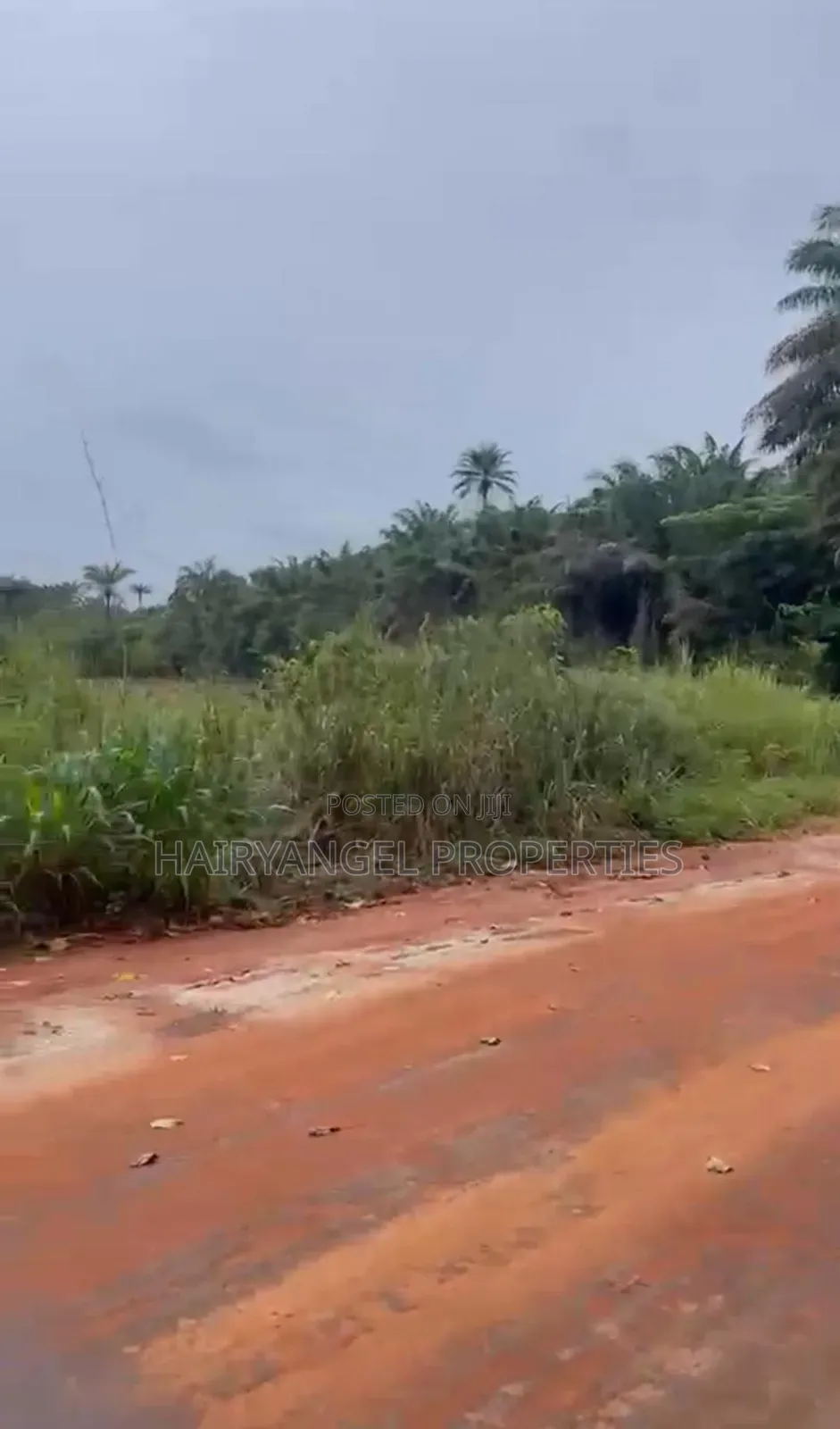 Cheap Land for Sale in Owerri in Owerri