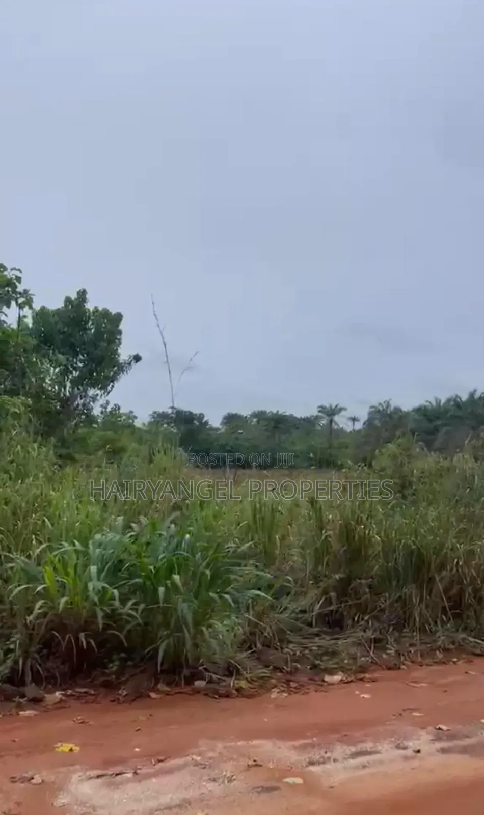 Cheap Land for Sale in Owerri in Owerri