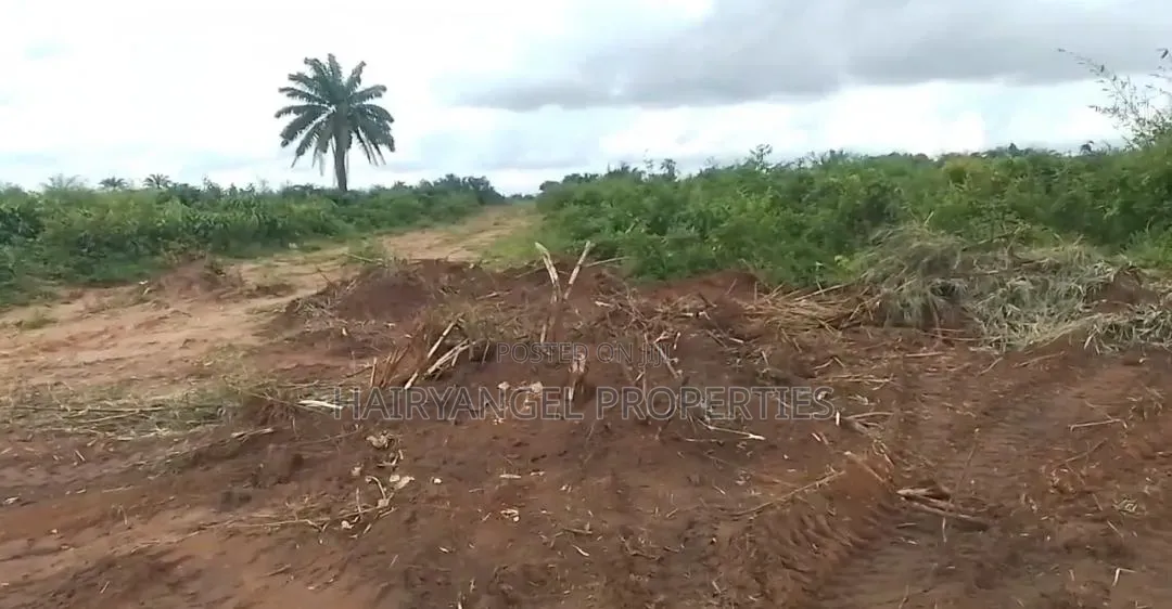 Cheap Land for Sale in Owerri in Owerri