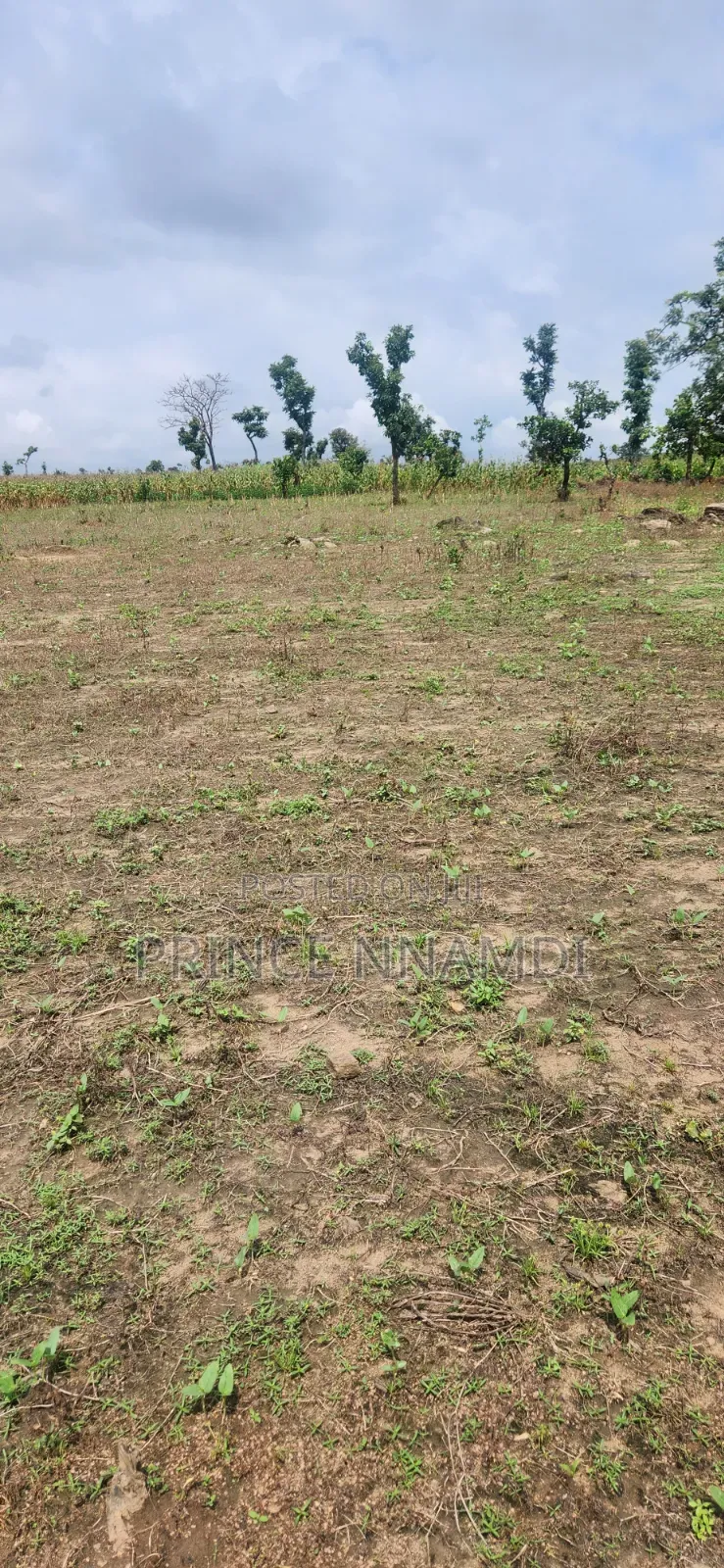 Residential Plot for Sale in Apo in Wasa