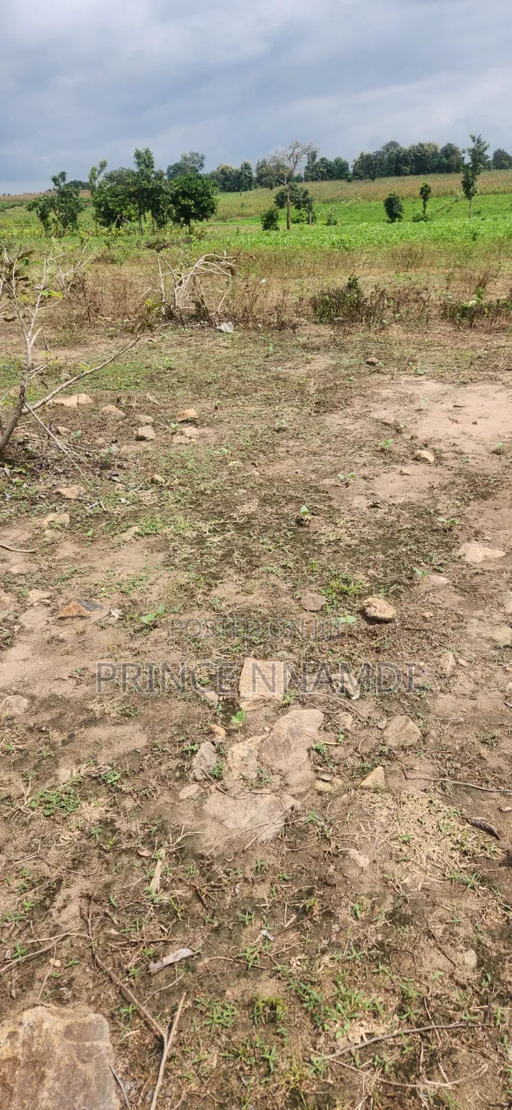 Residential Plot for Sale in Apo in Wasa