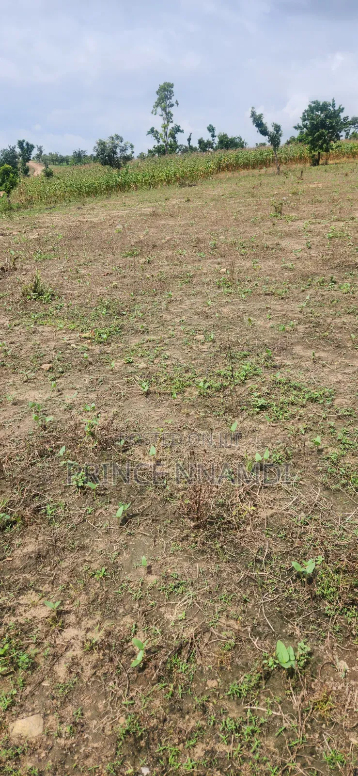 Residential Plot for Sale in Apo in Wasa