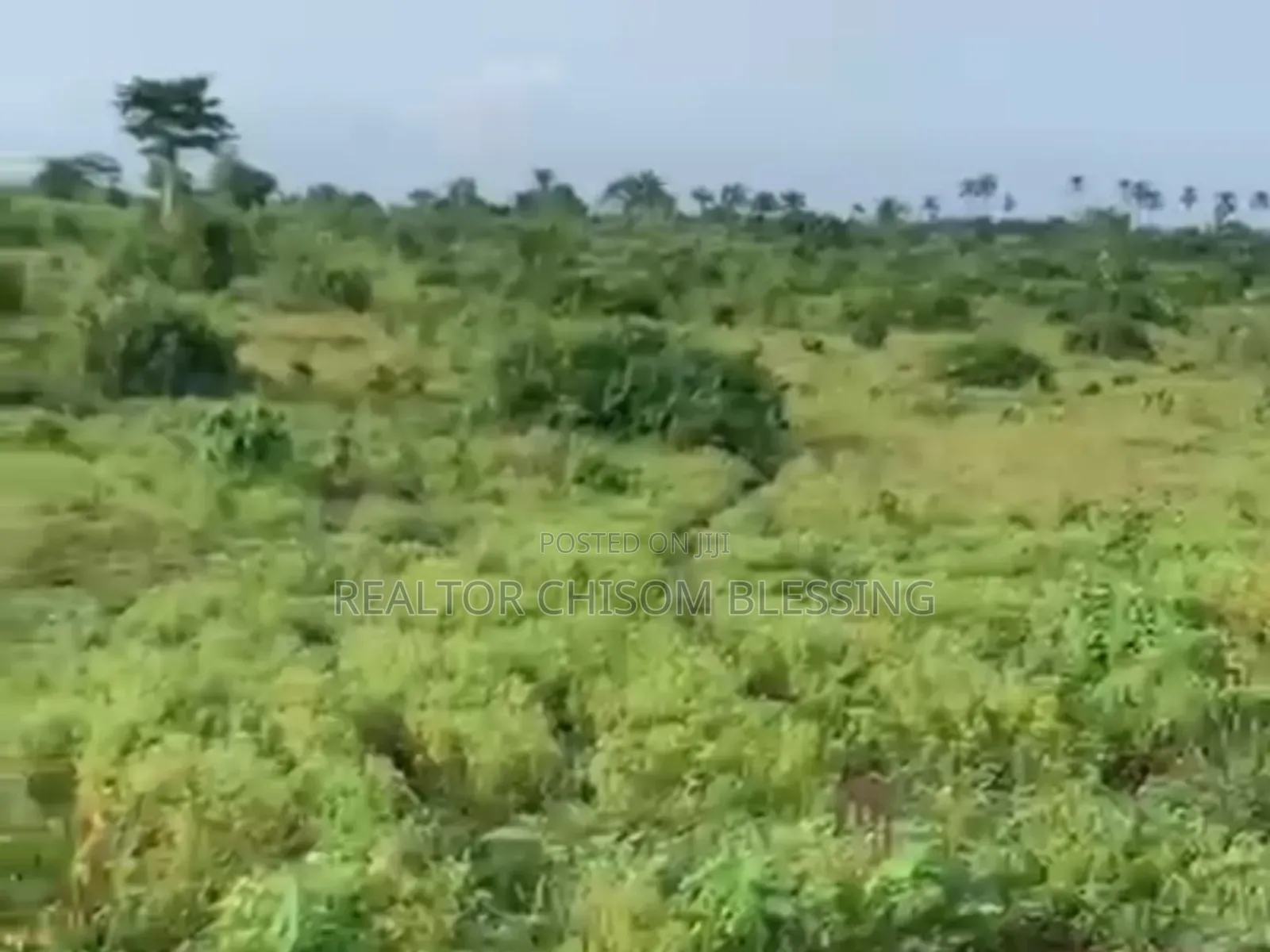 380 Plots for Sale in Mbom Ibeku, Umuahia in Umuahia