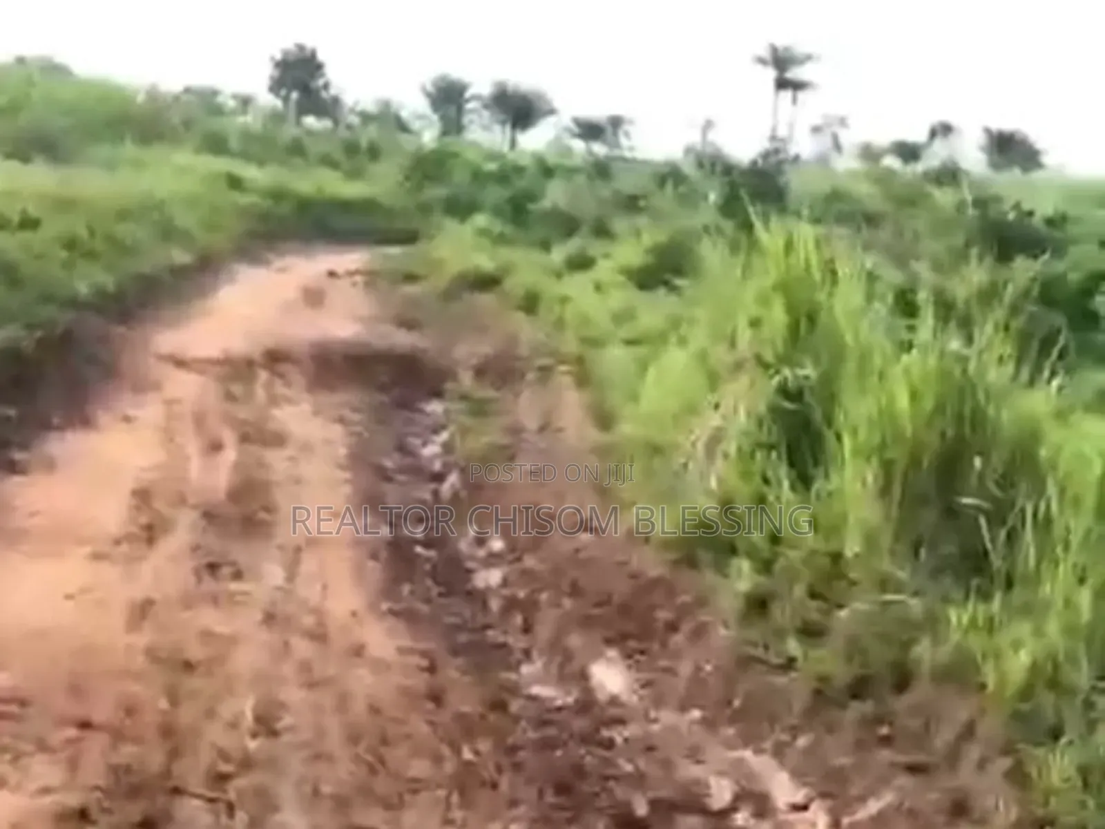 380 Plots for Sale in Mbom Ibeku, Umuahia in Umuahia