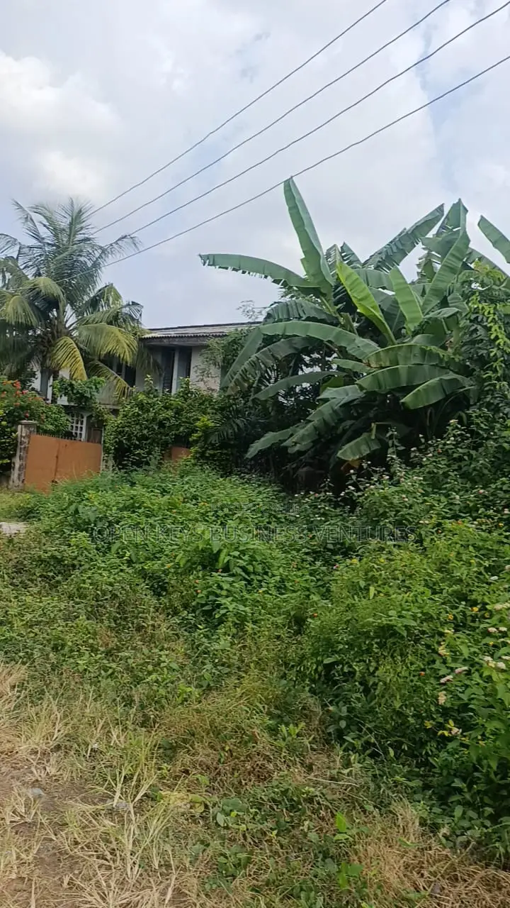 700sqm Residential Land in a Nice Area in Agodi
