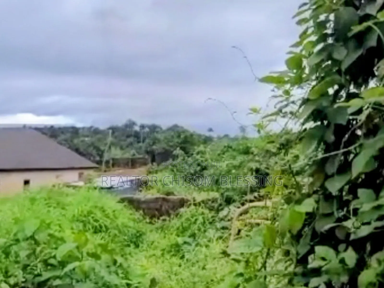 6 Plots, Fenced and Gated for Sale in Ohiya Umuahia Abia State in Umuahia