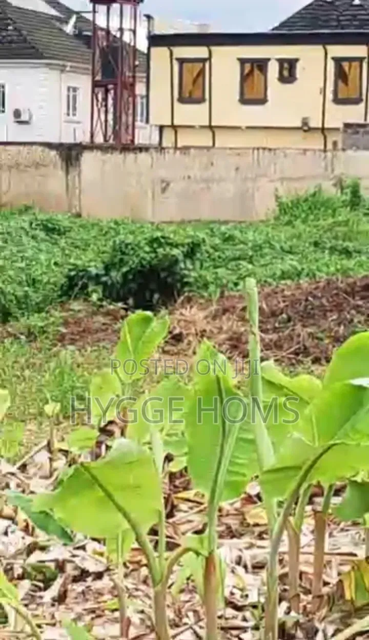 Premium Full Plot/ Half Sellable Berkley Estate Phase 1 in Abule Egba