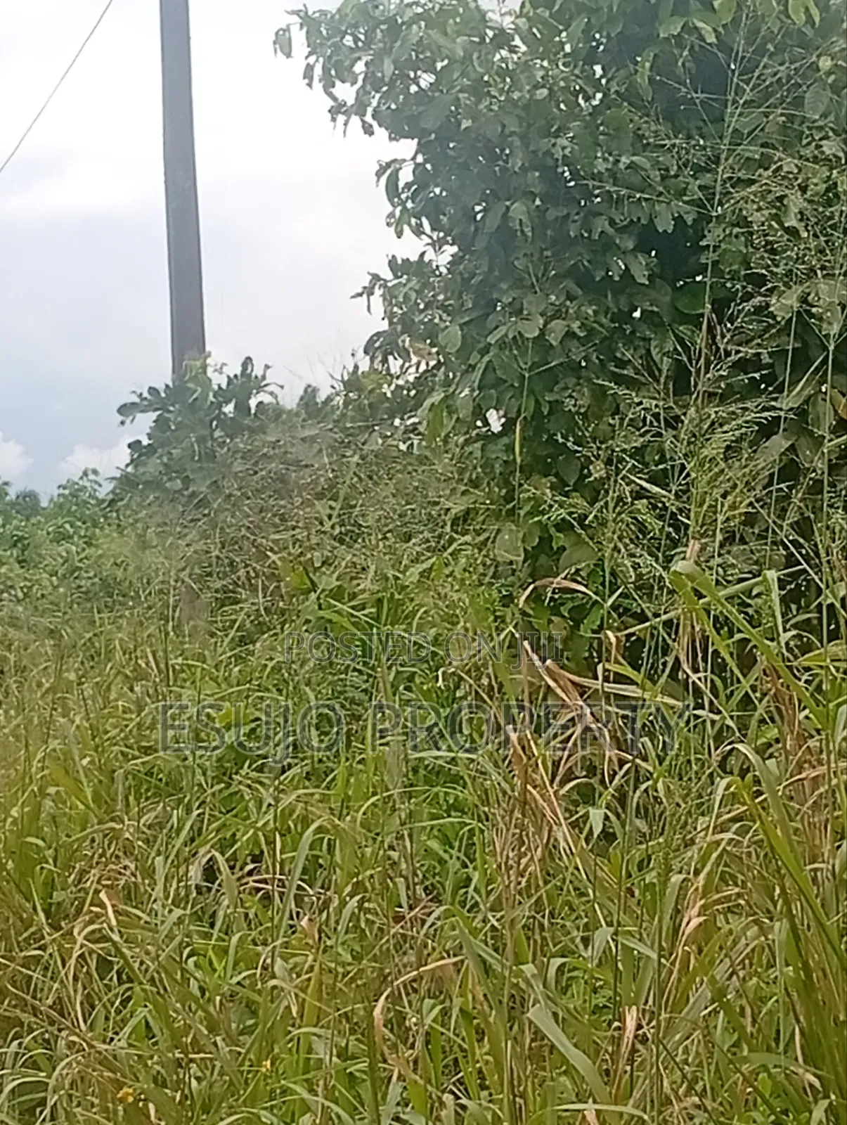 Multipurpose Land in Uyo