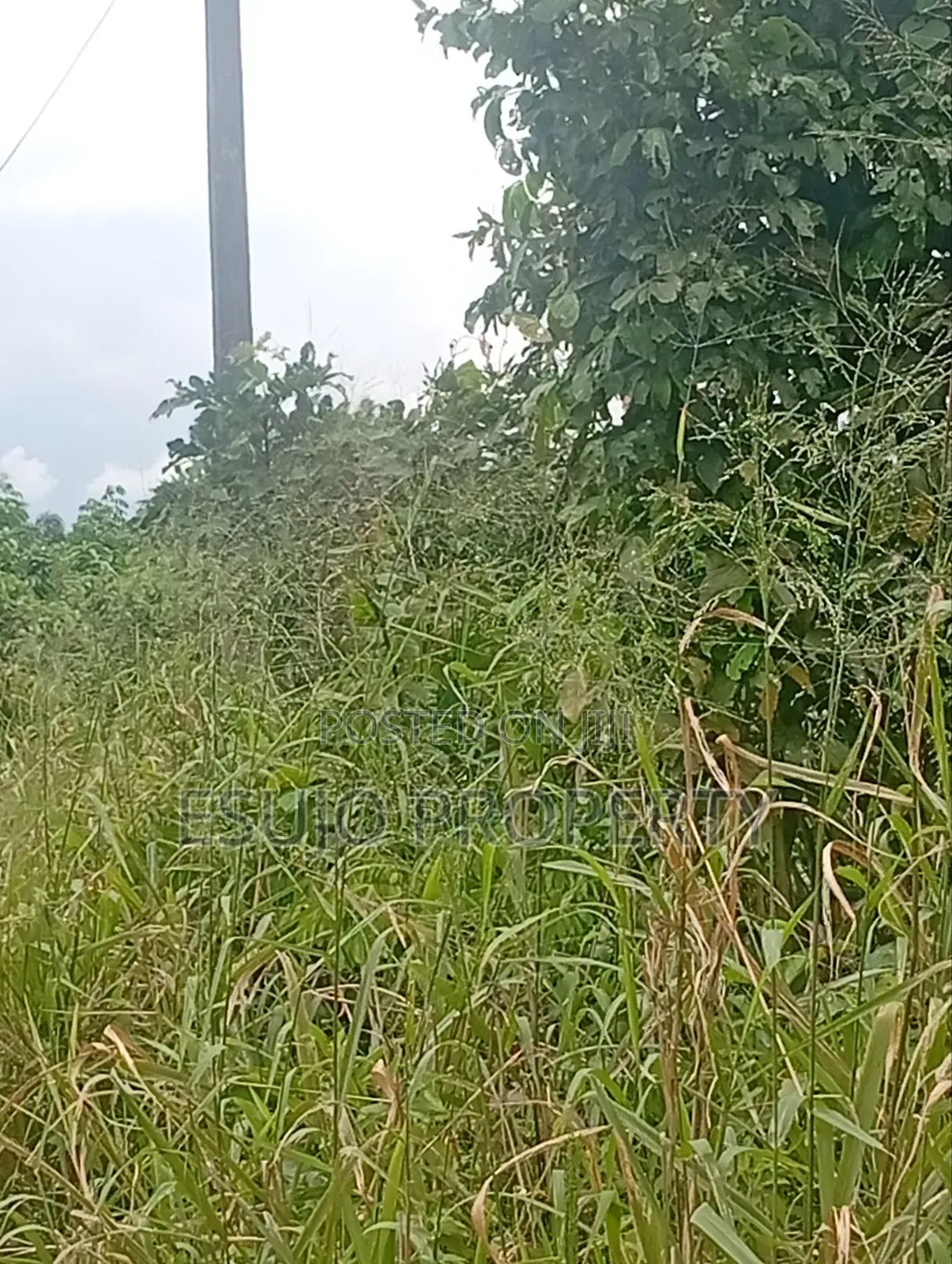 Multipurpose Land in Uyo