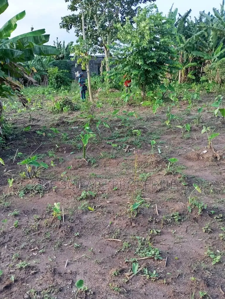 Land for Sale in Ikorodu in Ikorodu