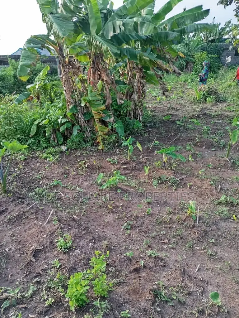 Land for Sale in Ikorodu in Ikorodu