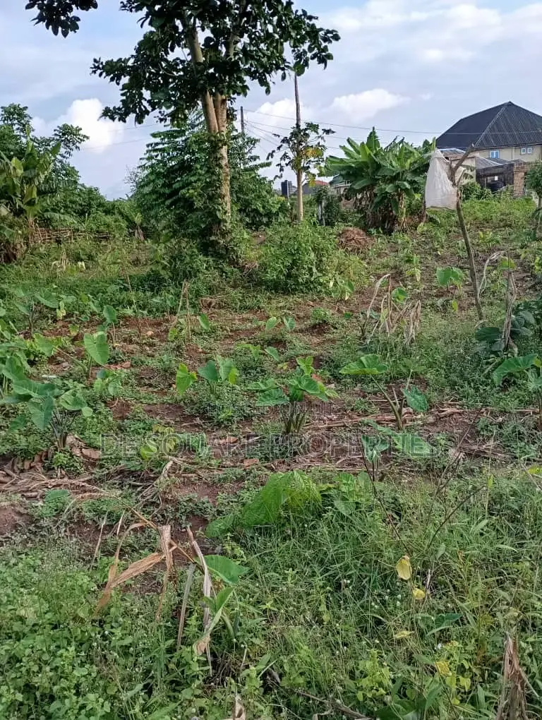 Land for Sale in Ikorodu in Ikorodu