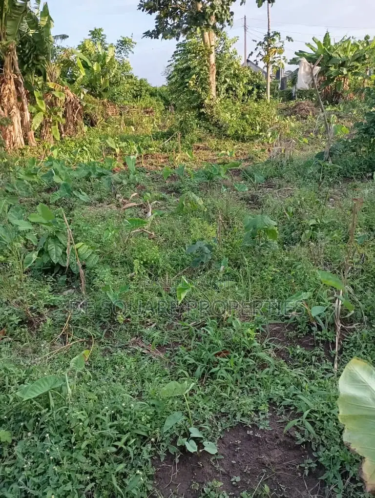 Land for Sale in Ikorodu in Ikorodu