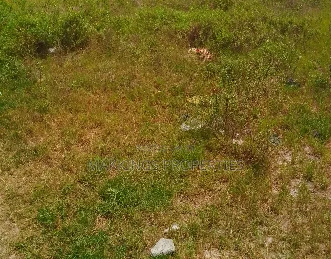 7,000sqm Waterfront Joint Venture (Jv) in Banana Island in Banana Island