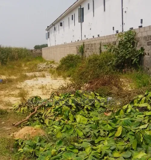 Joint Venture (Jv) Land in Thomas Estate Ajah 60/40 Developers Wanted in Thomas Estate