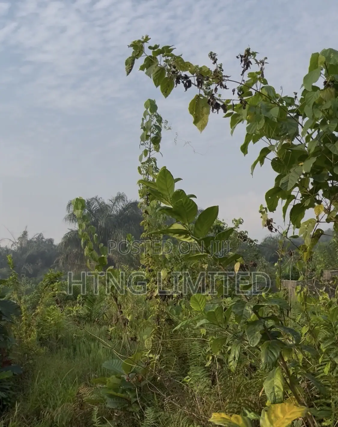 Full Plot of Land in Agbowa