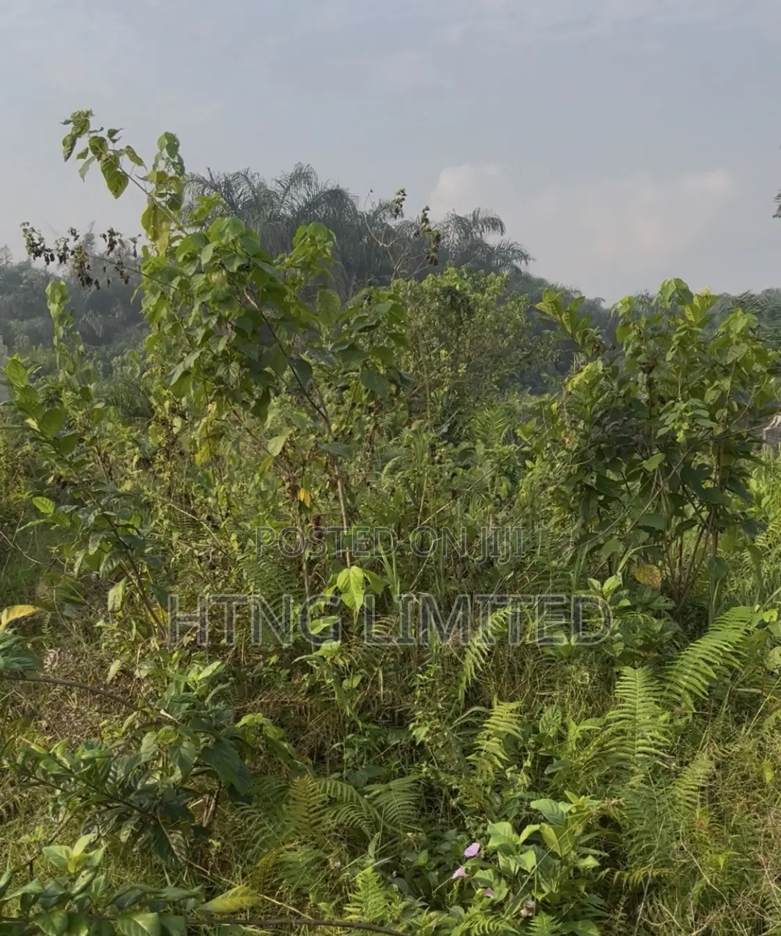 Full Plot of Land in Agbowa