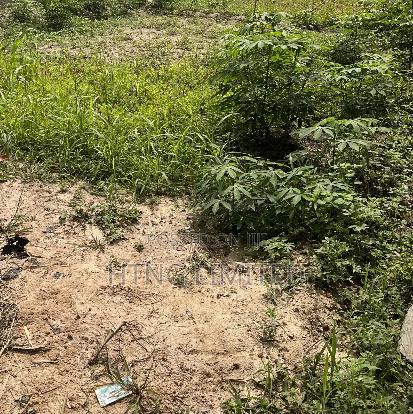 Full Plot of Land in Agbowa