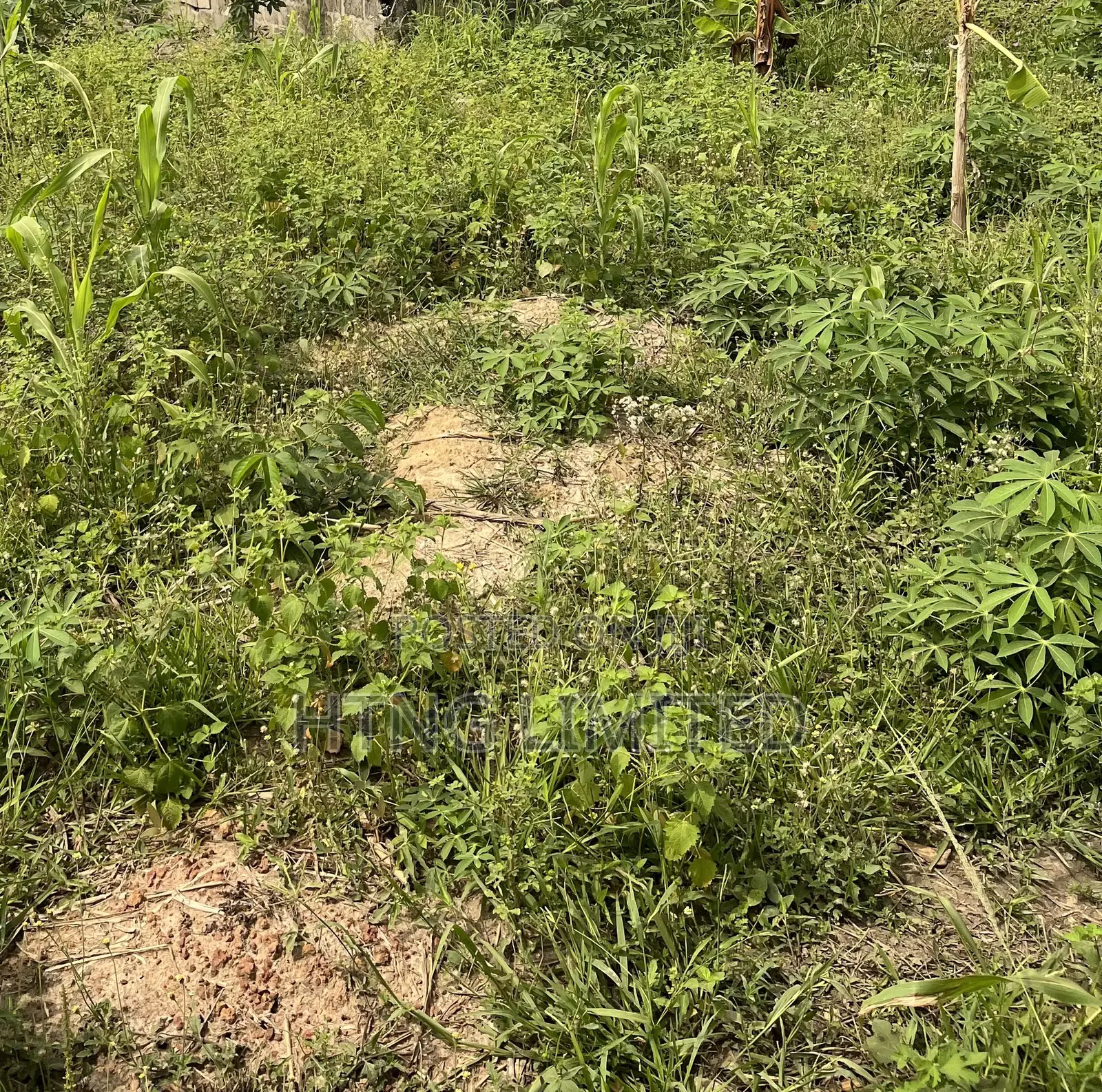 Full Plot of Land in Agbowa