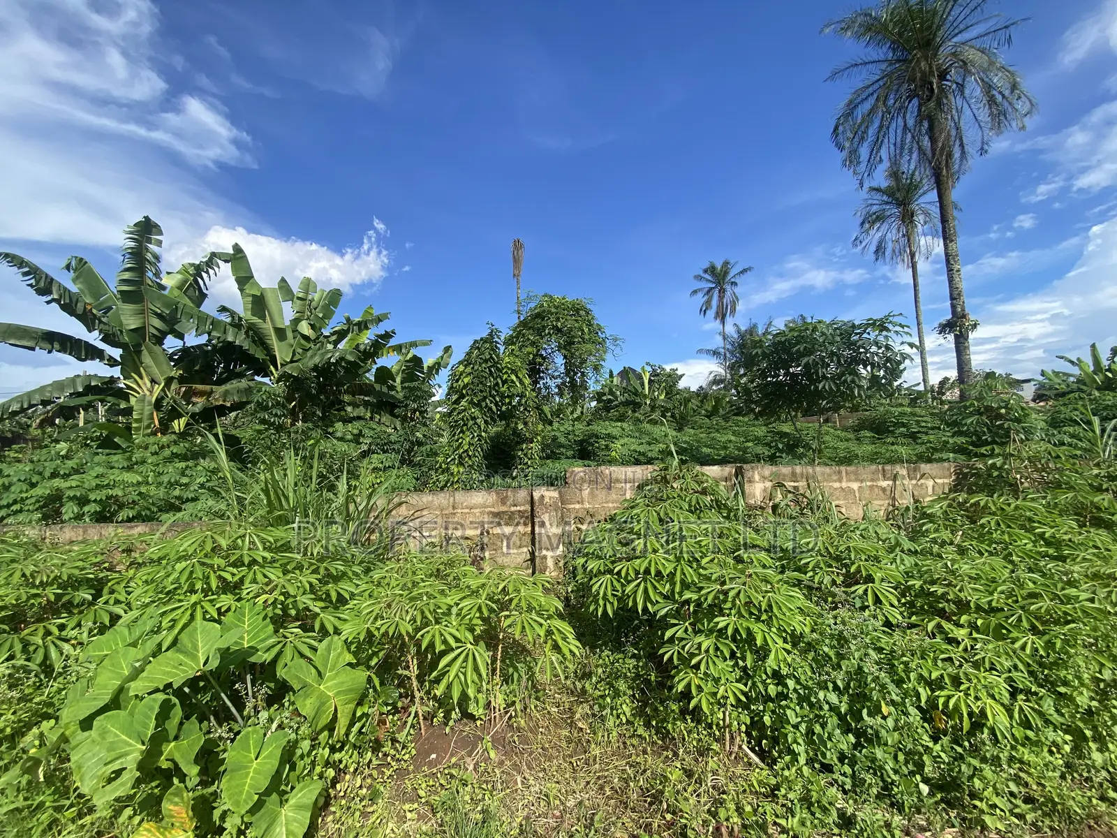 1 Plot of Land for Sale at Umuahia in Umuahia