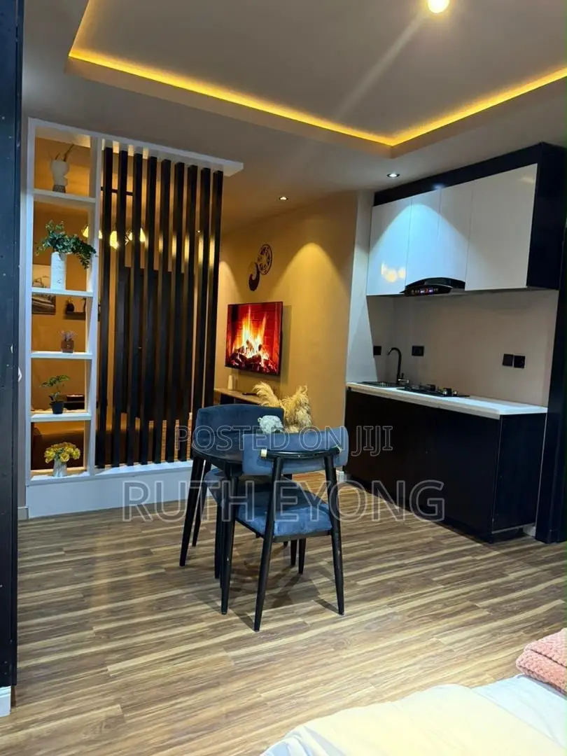 Furnished Studio Apartment in Ikate Lekki. Lagos for rent in Ikate