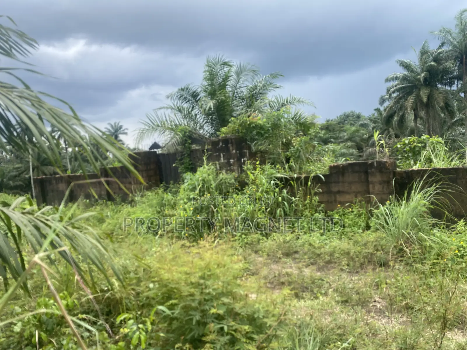 Standard 1 Plot of Land for Sale at Umuahia in Umuahia