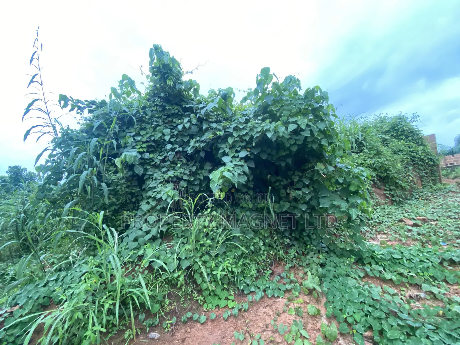 Good Deals of Land at Umuahia in Umuahia