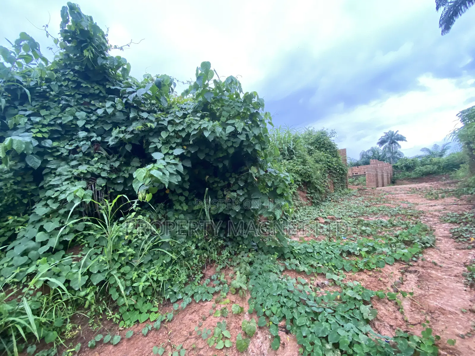 Good Deals of Land at Umuahia in Umuahia