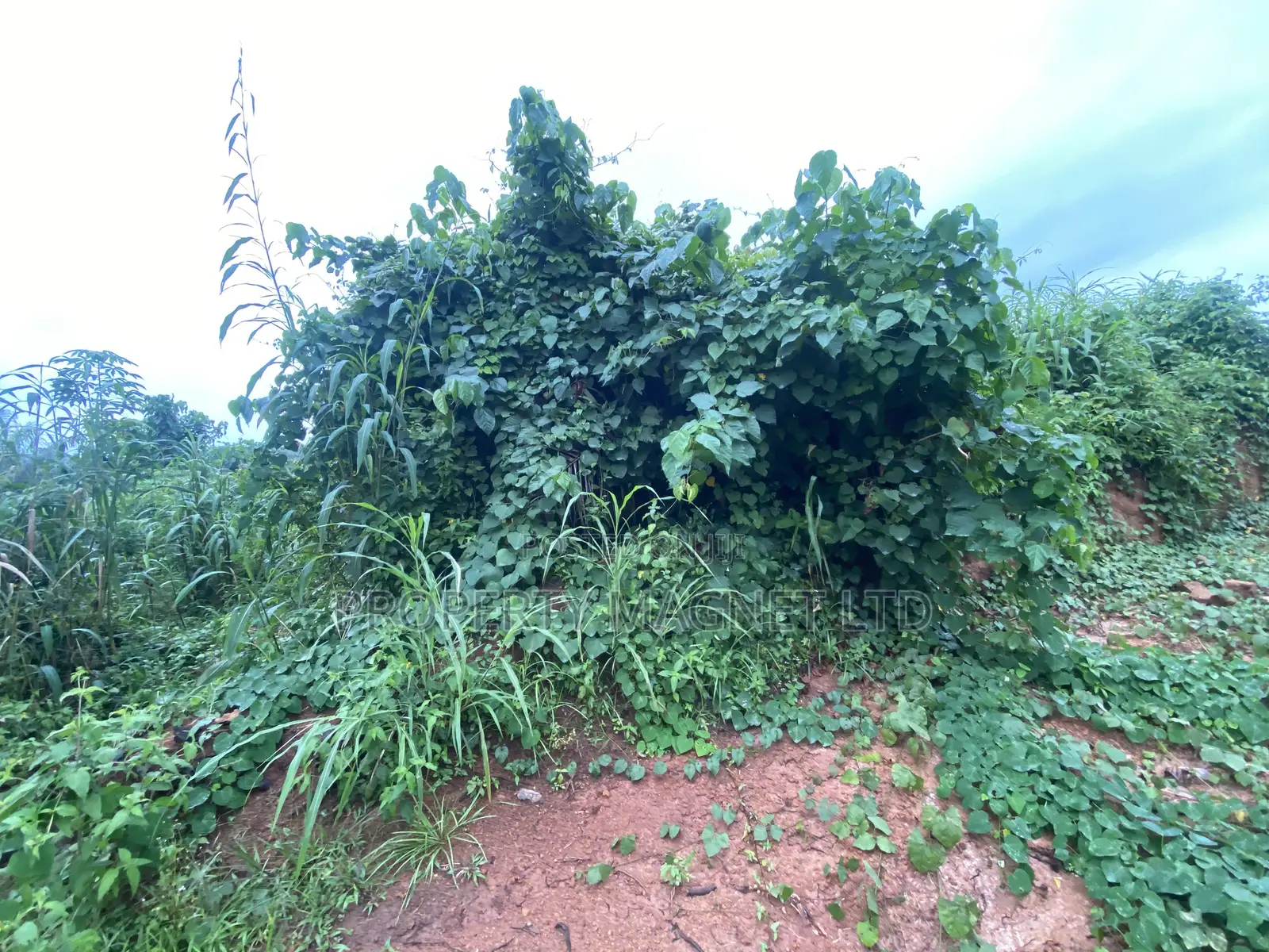 Good Deals of Land at Umuahia in Umuahia