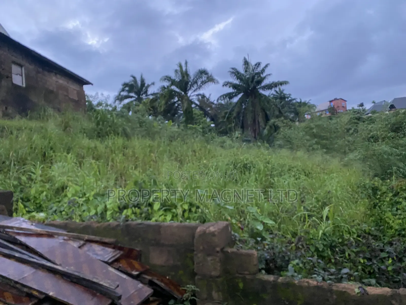 Amuzukwu Ibeku 1 Plot for Sale in Umuahia