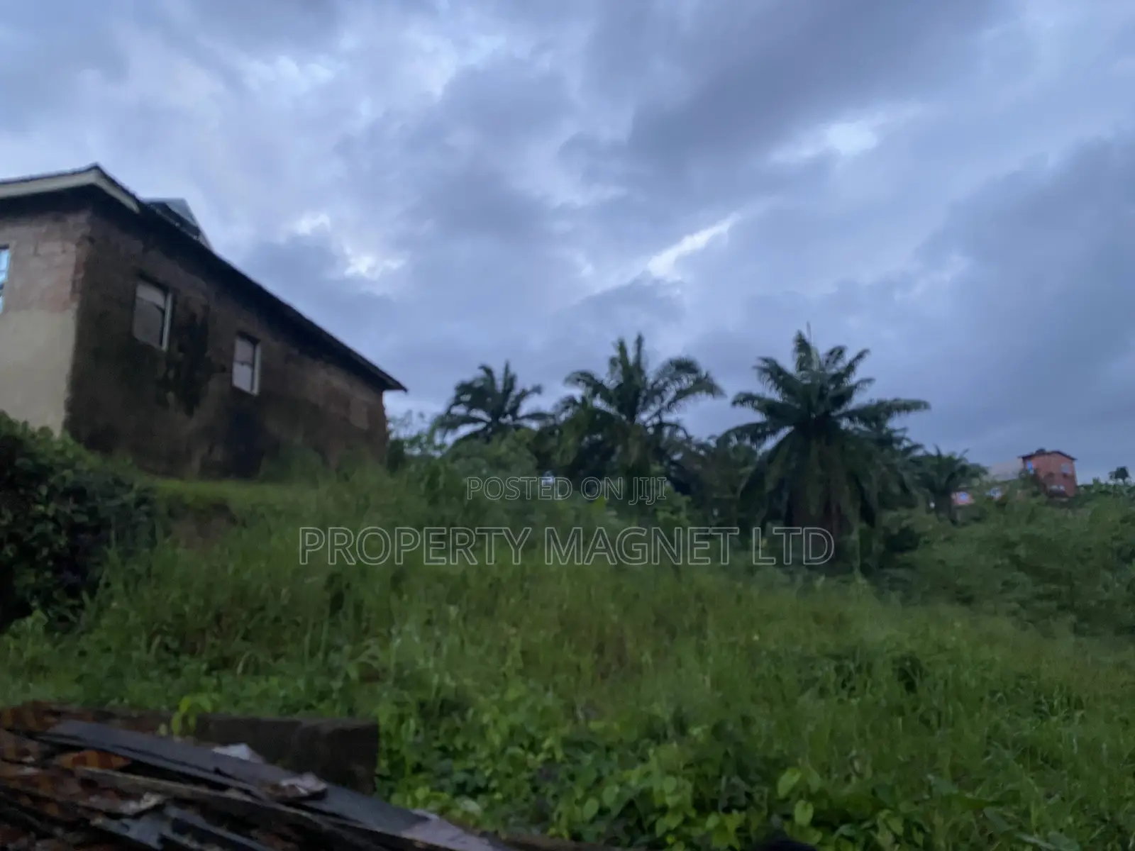 Amuzukwu Ibeku 1 Plot for Sale in Umuahia