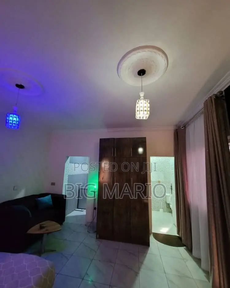 Furnished Studio Apartment in Asokoro for rent in Asokoro