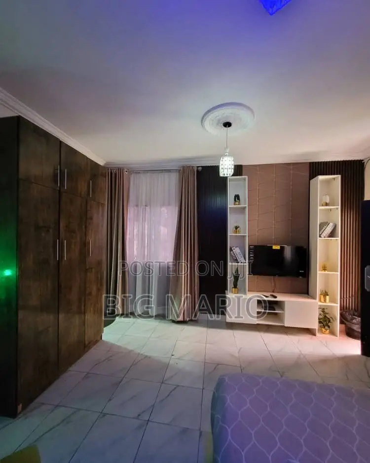 Furnished Studio Apartment in Asokoro for rent in Asokoro