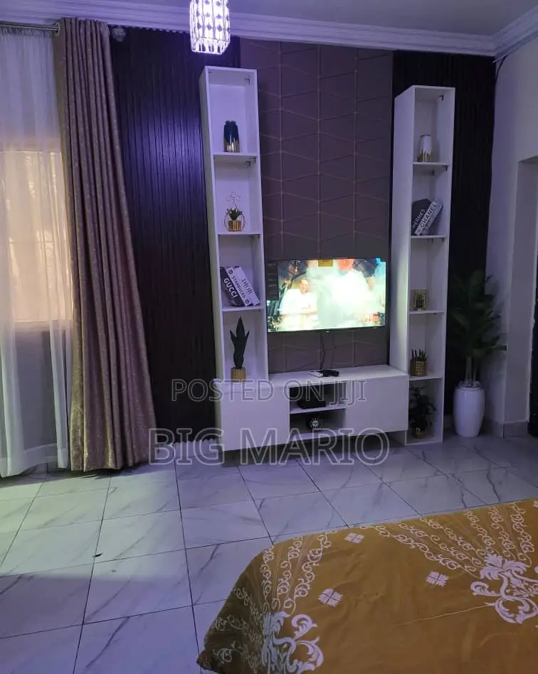 Furnished Studio Apartment in Asokoro for rent in Asokoro