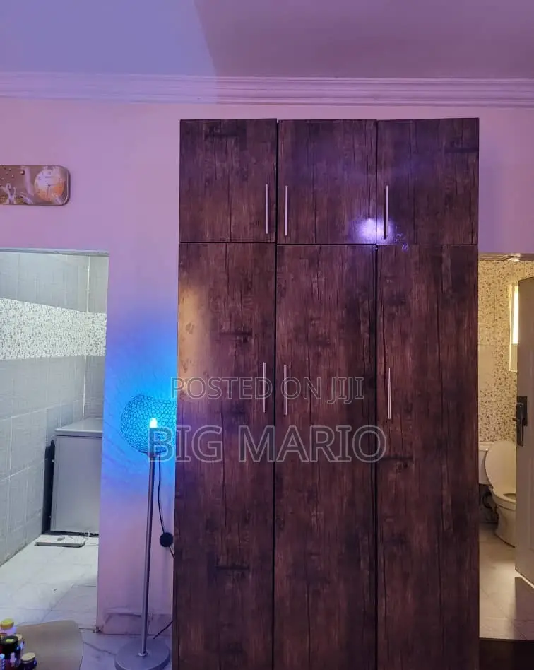 Furnished Studio Apartment in Asokoro for rent in Asokoro