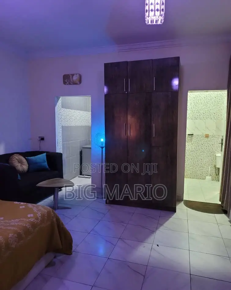 Furnished Studio Apartment in Asokoro for rent in Asokoro