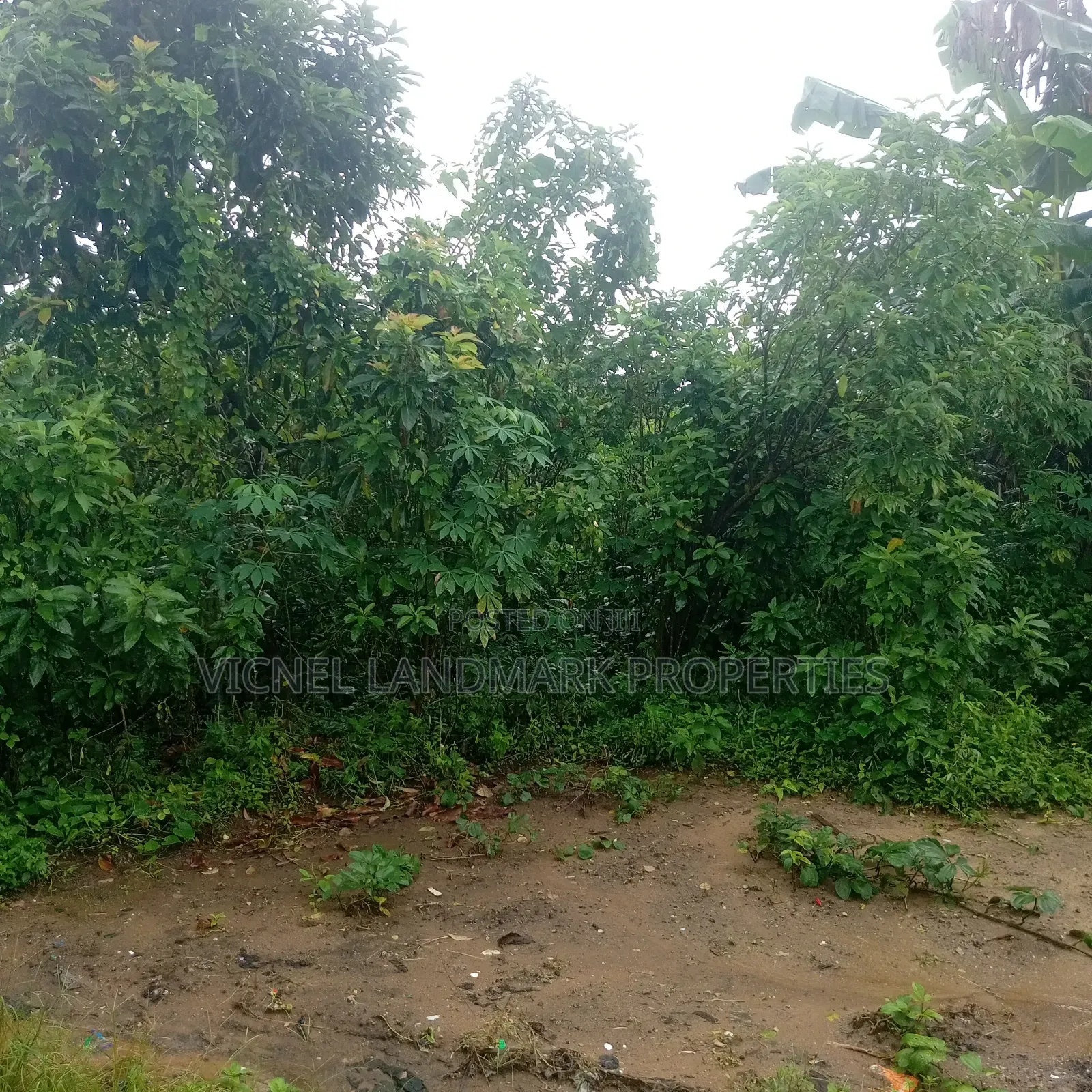 River View Estate, Iwofe, Rumuolumeni, Portharcourt, Rivers State in Obio-Akpor