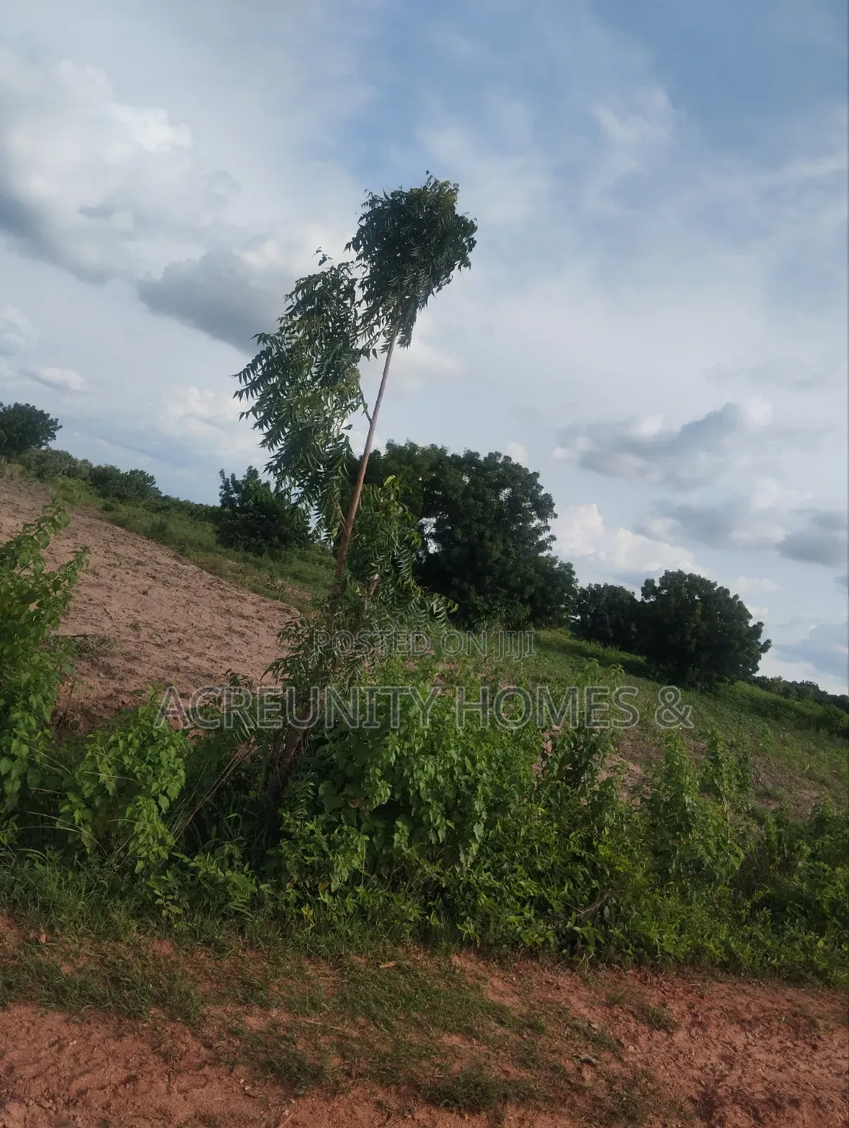 800 Acres of Farmland for Sale at Aderu Village, Obafemi, Ajebo Road in Abeokuta North