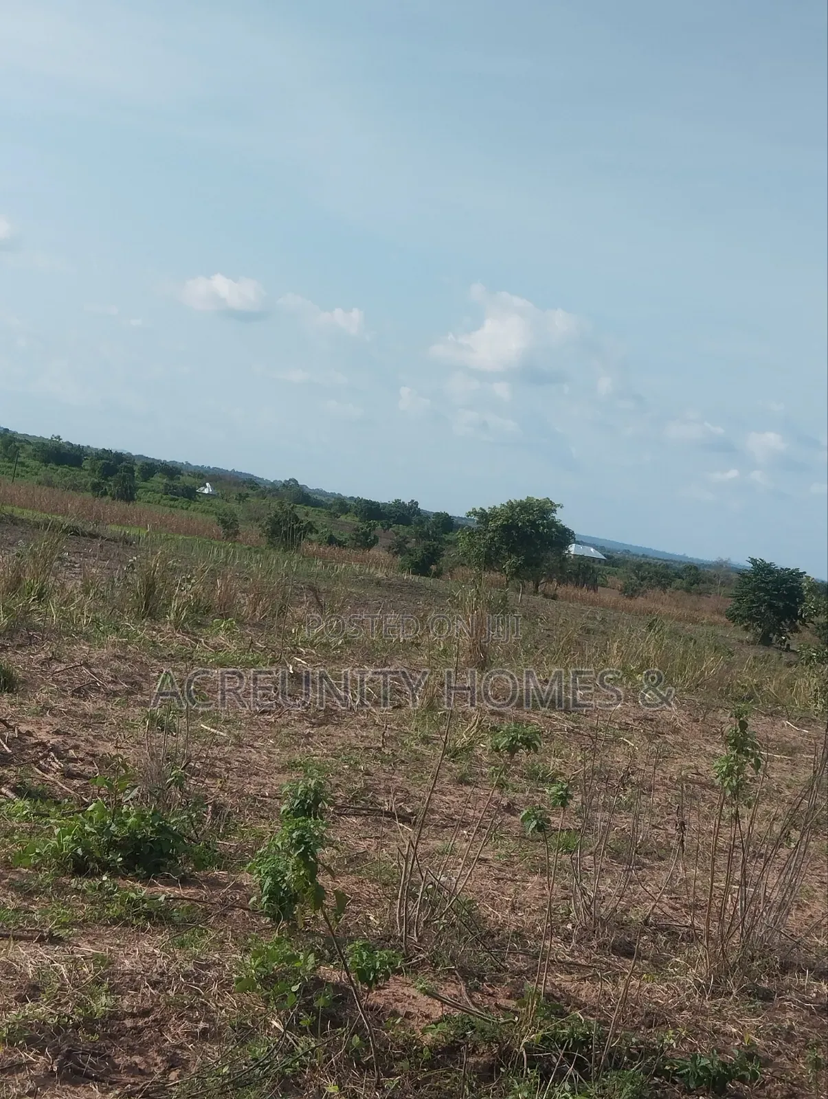800 Acres of Farmland for Sale at Aderu Village, Obafemi, Ajebo Road in Abeokuta North