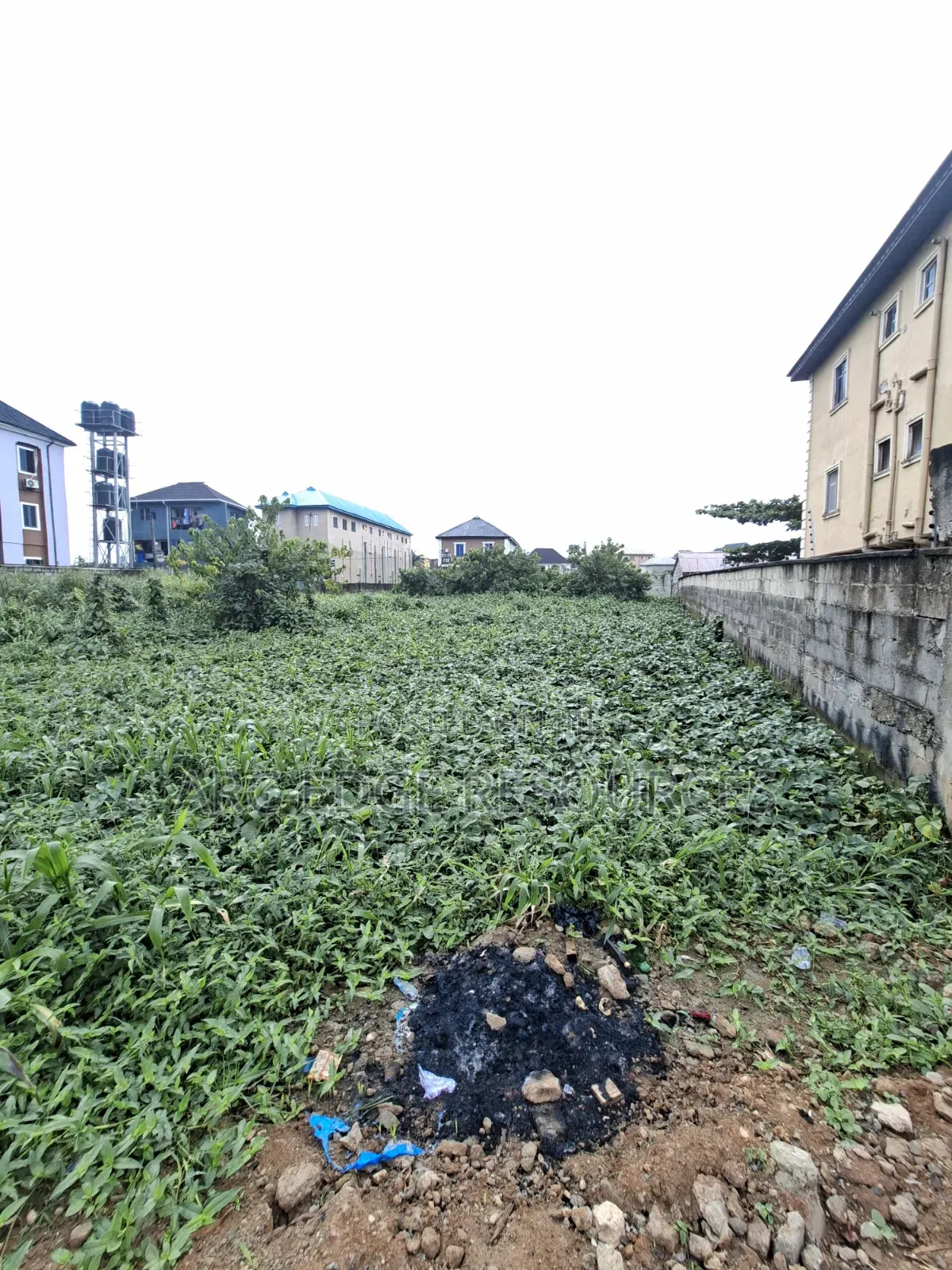 More Than Half Plot in Bucknor