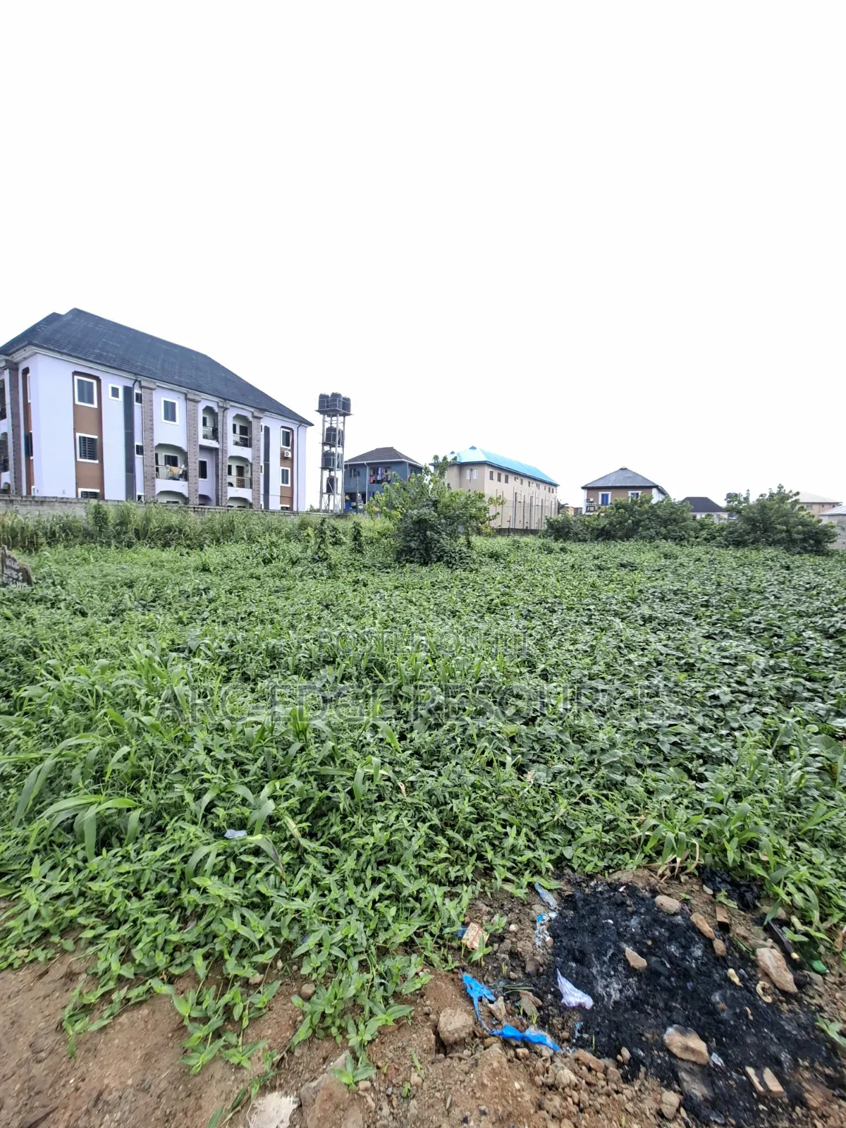 More Than Half Plot in Bucknor