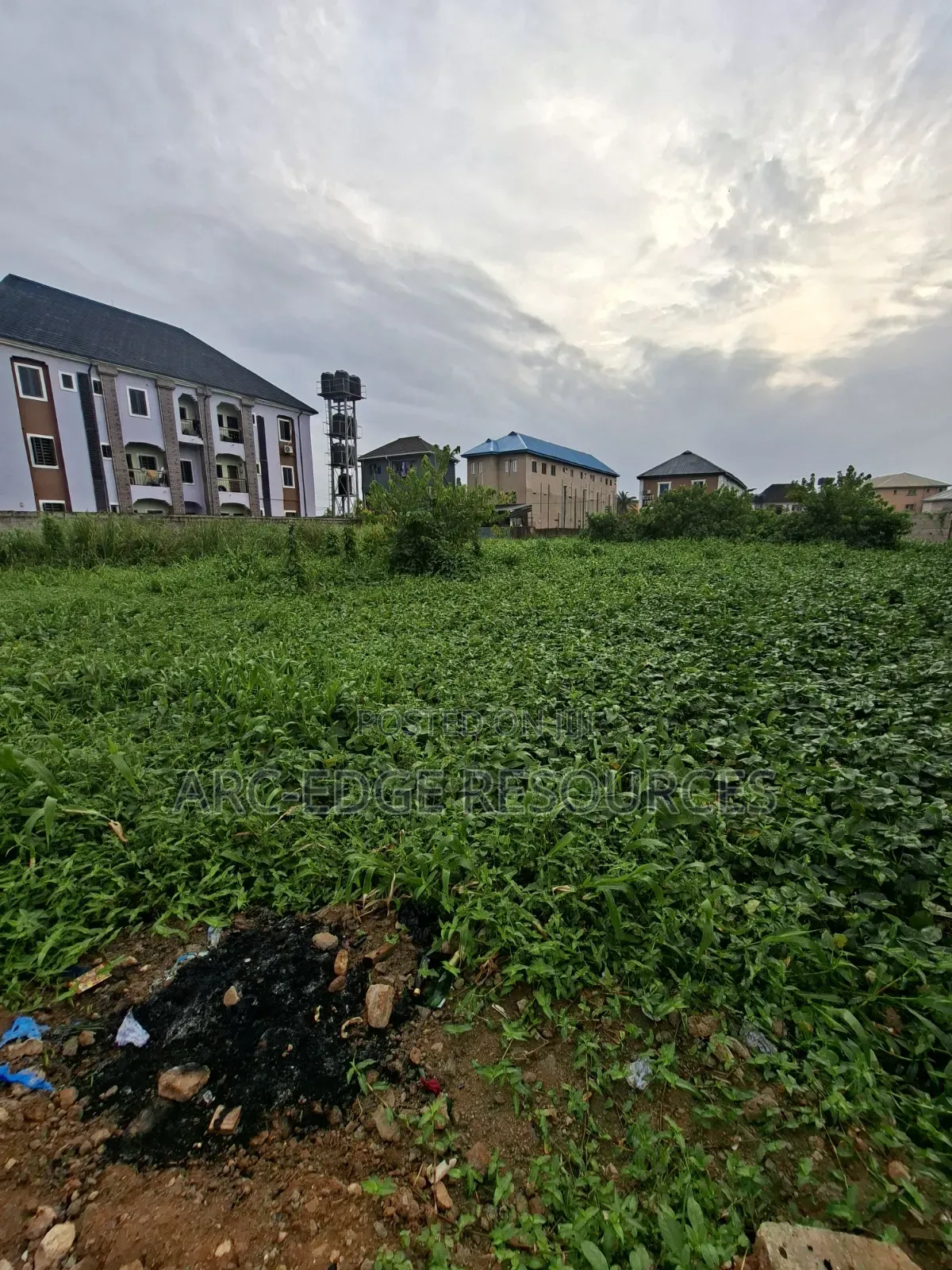 More Than Half Plot in Bucknor
