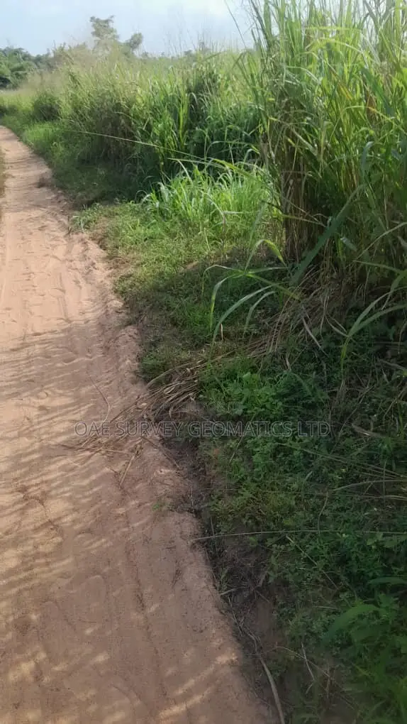 Affordable Land at Alapako Village, Free From Acquisition! in Obafemi-Owode