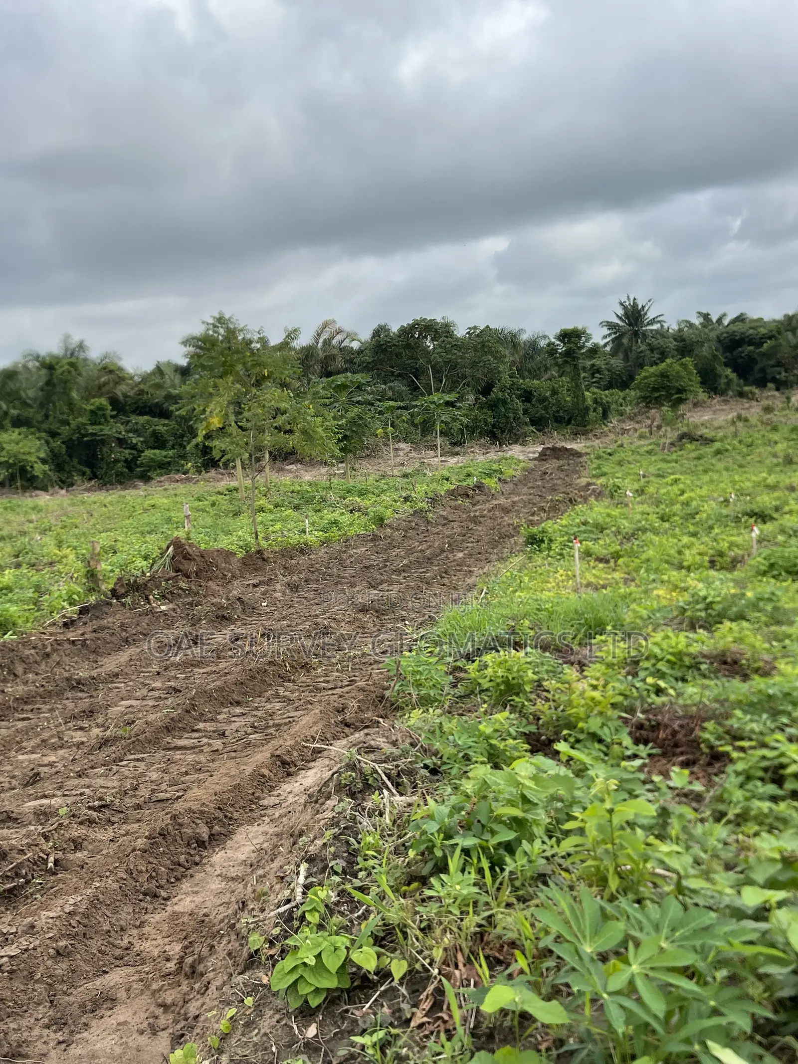 Affordable Land at Alapako Village, Free From Acquisition! in Obafemi-Owode