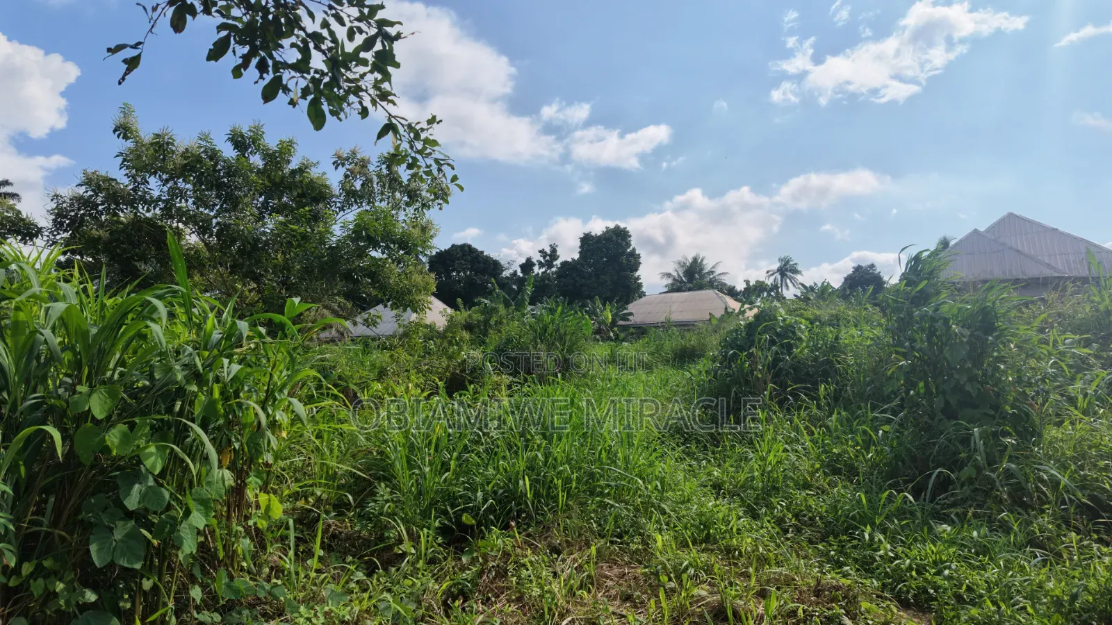 4 Plots of Land Available Umuahia in Umuahia