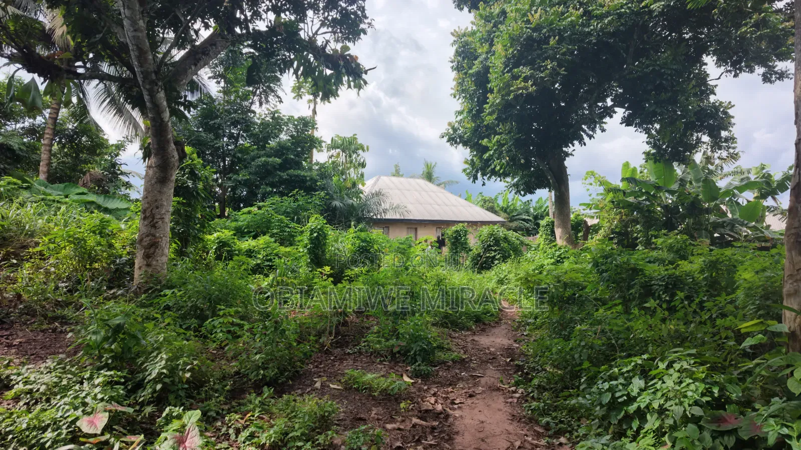 4 Plots of Land Available Umuahia in Umuahia