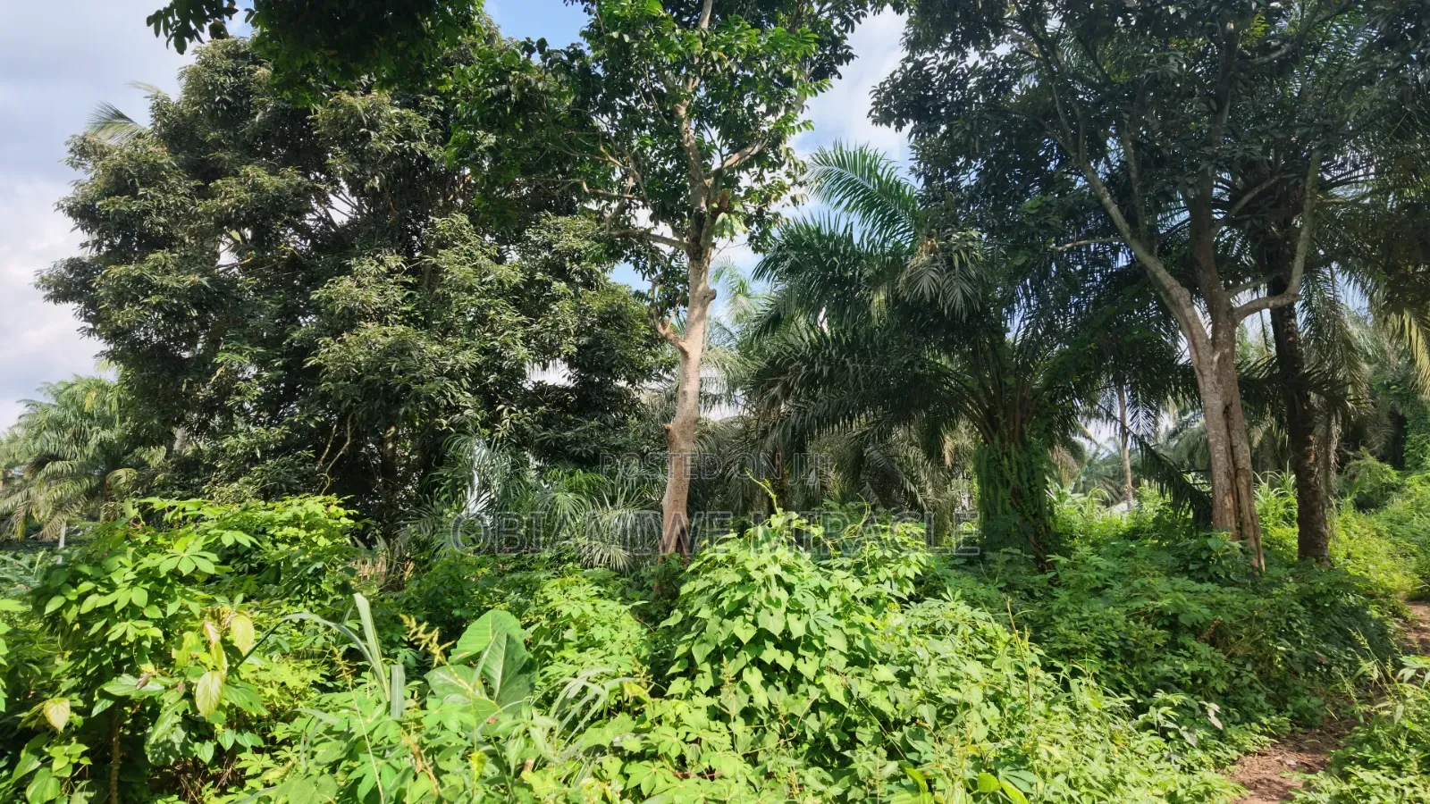 4 Plots of Land Available Umuahia in Umuahia